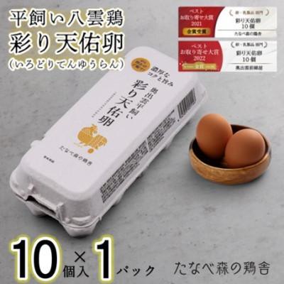 ふるさと納税 雲南市 平飼い八雲鶏(やくもどり) 彩り天佑卵(てんゆうらん) 10個×1パック 計10個