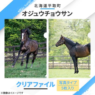 ふるさと納税 平取町 [競馬グッズ][オジュウチョウサン]クリアファイル (写真)5枚入り