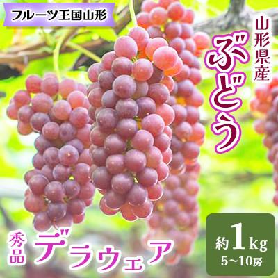ふるさと納税 中山町 フルーツ王国山形☆山形県産ぶどう デラウェア 秀品 約1kg(5〜10房)