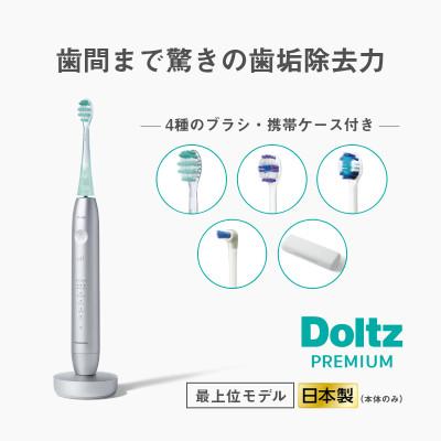 ふるさと納税 彦根市 パナソニック W音波振動ハブラシ スマート ドルツ EW-DT88-S (電動歯ブラシ)