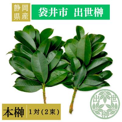 ふるさと納税 袋井市 静岡県産袋井市 出世榊 本榊 純国産 さかき1対(2束)※1日交換に間に合うように配送