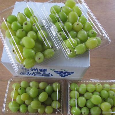 ふるさと納税 長野市 粒シャインマスカット[300g×4パック]計1.2kg