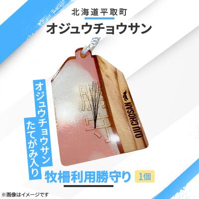 ふるさと納税 平取町 [競馬グッズ][御守り]オジュウチョウサンたてがみ入り牧柵利用勝守り