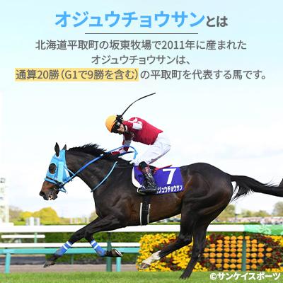 ふるさと納税 平取町 【競馬グッズ】特大ぬいぐるみ 絶対王者【オ