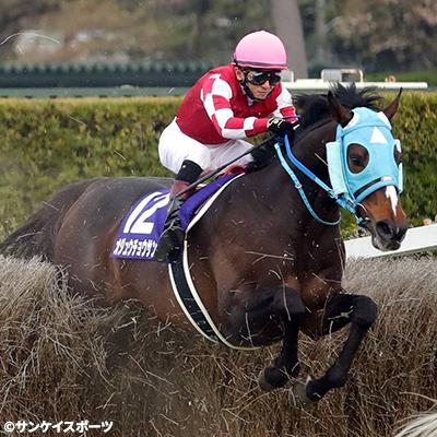ふるさと納税 平取町 【競馬グッズ】特大ぬいぐるみ 絶対王者【オ