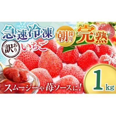 ふるさと納税 君津市 渡邉いちご園 [訳あり]完熟・急速冷凍いちご 1kg