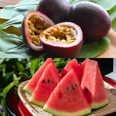 ふるさと納税 今帰仁村 [2026年6月上旬から順次発送]今帰仁村のお試しスイカ1玉&amp;パッションフルーツ4玉