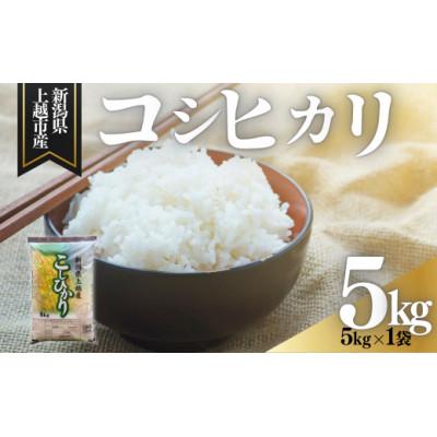 ふるさと納税 上越市 新潟県上越市産 コシヒカリ 精米 5kg