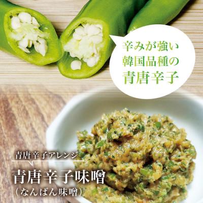 ふるさと納税 宮城県 【宮城県産】生青唐辛子 龍の尾 500gセット(500g
