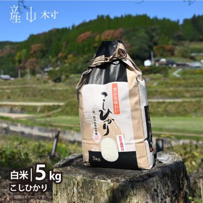 ふるさと納税 産山村 [令和7年産新米]阿蘇うぶやまのコシヒカリ5kg×1袋