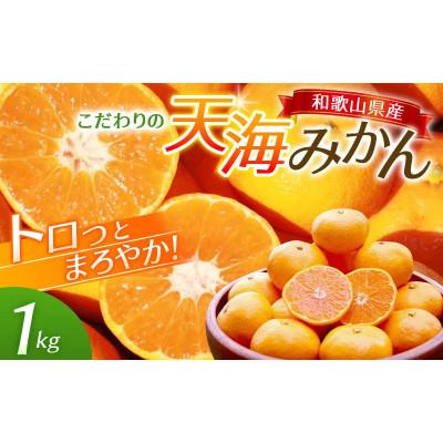 ふるさと納税 田辺市 天海みかん 完熟宮川早生 1kg 和歌山 田辺市 農家直送[nak004]