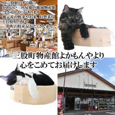 ふるさと納税 三股町 【数量限定】猫さんへ贈る猫桶 1個【MI102】の画像