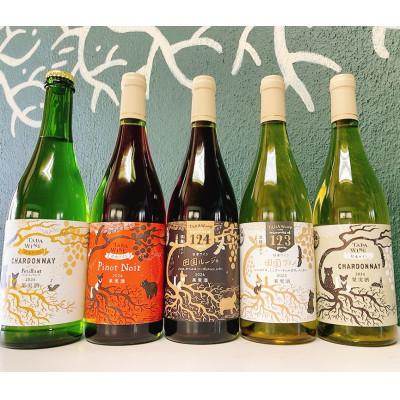 ふるさと納税 上富良野町 [野生酵母&amp;無濾過]赤白泡ワイン5本 多田ワイナリー