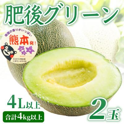 ふるさと納税 宇城市 [先行予約] 熊本県宇城市産 肉厚な果肉!溢れる果汁! 肥後グリーンメロン 2玉 4L以上 約4kg