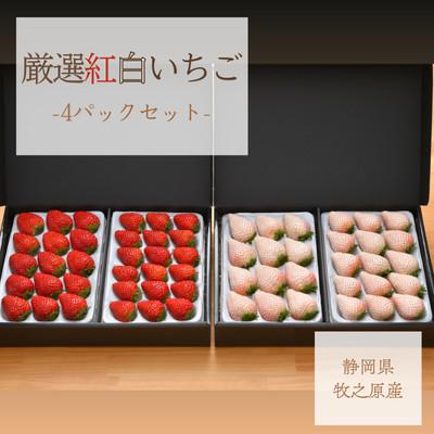 ふるさと納税 牧之原市 厳選紅白いちご 約400gパック×4 白いちご『SweetMikBerry』 赤いちご『紅ほっぺ』