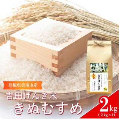 ふるさと納税 雲南市 島根県雲南市産 吉田げんき米 きぬむすめ 2kg(2kg×1)