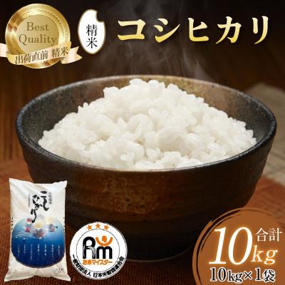 ふるさと納税 あわら市 [令和7年産]コシヒカリ 精米 10kg×1袋 [お米マイスターが発送直前に精米!]