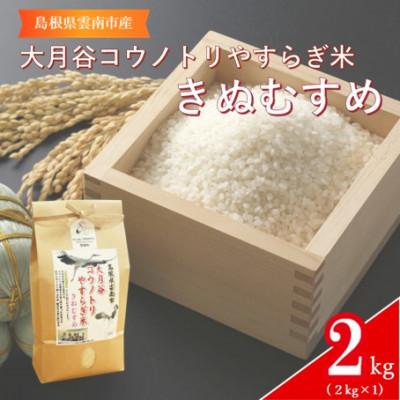 ふるさと納税 雲南市 島根県雲南市「大月谷コウノトリやすらぎ米」きぬむすめ 2kg(2kg×1)