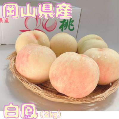 ふるさと納税 勝央町 [先行予約]2026年発送 岡山県産 白鳳(2kg)
