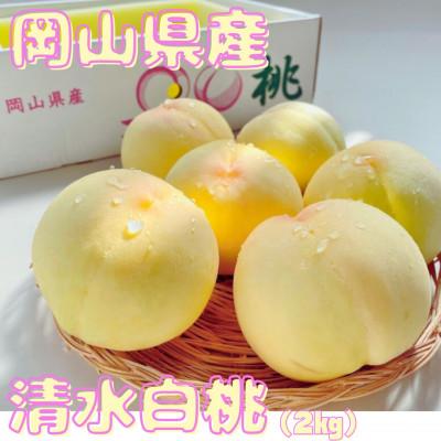 ふるさと納税 勝央町 [先行予約]2026年発送 岡山県産 清水白桃 (2kg)