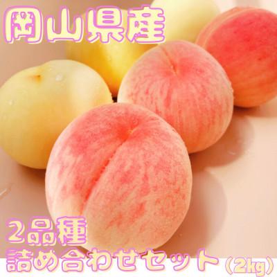 ふるさと納税 勝央町 [先行予約]2026年発送 岡山県産 旬の桃!2品種詰め合わせセット(2kg)