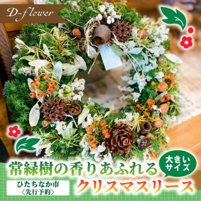 ふるさと納税 ひたちなか市 [2026年11月下旬以降発送開始]常緑樹の香りあふれるクリスマスリース(大きいサイズ)
