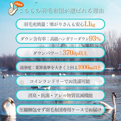 ふるさと納税 広川町 【シングル】ハンガリーダウン93% 極暖1.1kg 洗える本厚掛け羽毛布団 ピーチスキン生地(青系) |  | 01