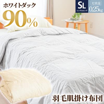 ふるさと納税 吉野川市 羽毛布団 羽毛肌掛け布団 色(グレー) ダウン90% 0.25kg入り シングルロング 夏掛け布団