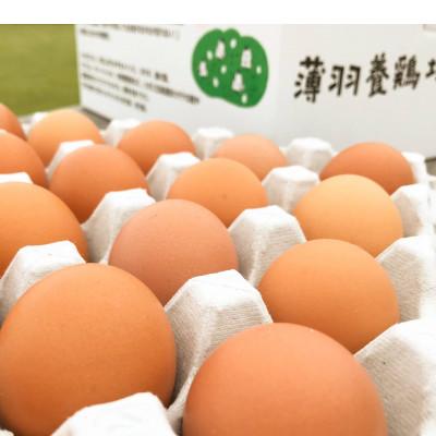 ふるさと納税 益子町 黒麹育ちの赤たまご 75個