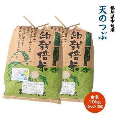 ふるさと納税 須賀川市 令和7年産須賀川市産天のつぶ 精米10kg(5kg×2袋)