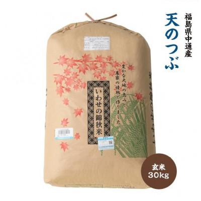 ふるさと納税 須賀川市 令和7年産須賀川市産天のつぶ 玄米30kg