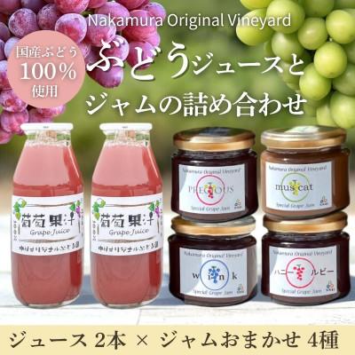 ふるさと納税 河内長野市 ぶどうジュース2本とぶどうジャムおまかせ4種詰合せ