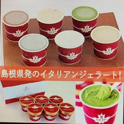 ふるさと納税 浜田市 島根素材のイタリアンジェラート「ジェラート6個セット」