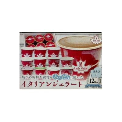 ふるさと納税 浜田市 島根素材のイタリアンジェラート「ジェラート12個セット」