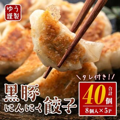ふるさと納税 伊佐市 黒豚にんにく餃子(計40個・8個入り×5P)