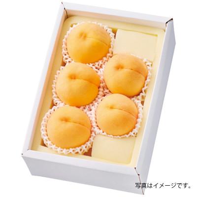 ふるさと納税 倉敷市 白桃 晩生種 5-6玉(約1.3kg)[2026年8月〜9月発送]