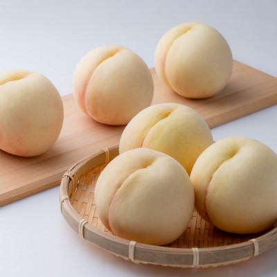 ふるさと納税 倉敷市 清水白桃(大玉) 6-7玉(約2.2kg) [2026年7月〜8月発送]