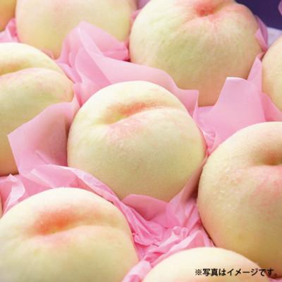 ふるさと納税 倉敷市 《ご家庭用》おかやまの桃(大玉) 3玉(合計約900g) 【2026年7月〜8月発送】の画像