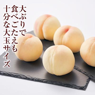 ふるさと納税 倉敷市 《ご家庭用》おかやまの桃(大玉) 3玉(合計約900g) 【2026年7月〜8月発送】の画像