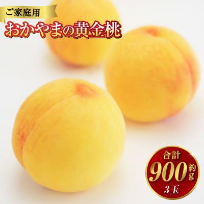 ふるさと納税 倉敷市 [ご家庭用]おかやまの黄金桃(大玉) 3玉(合計約900g)[2026年8月〜9月発送]