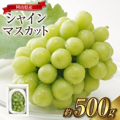 ふるさと納税 倉敷市 シャインマスカット 1房(約500g)[2026年8月〜9月発送]