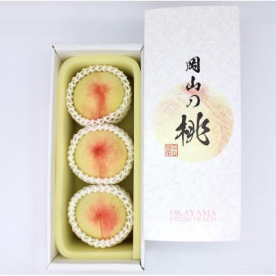 ふるさと納税 倉敷市 岡山の白桃(大玉/早生種) 3玉(合計約840g)[2026年6月〜7月発送]