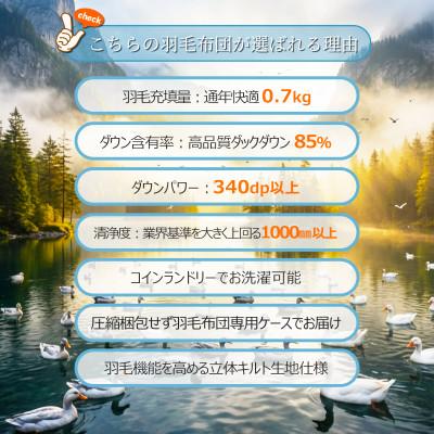 ふるさと納税 広川町 【シングル】ダックダウン85% 0.7kg 洗える合い掛け羽毛布団 (アイボリー無地) |  | 01