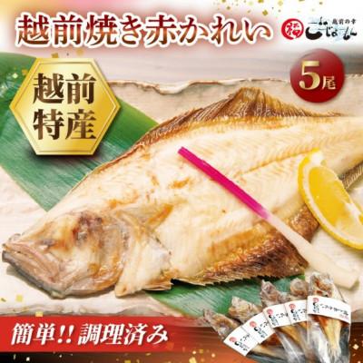 ふるさと納税 越前町 [のし付][温めだけ]焼き調理済み 国産 越前赤かれい 5尾 干物 焼きカレイ