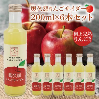 ふるさと納税 大子町 [数量限定]奥久慈りんごサイダー 200ml×6本セット|茨城県 大子町 炭酸 果汁 ジュース