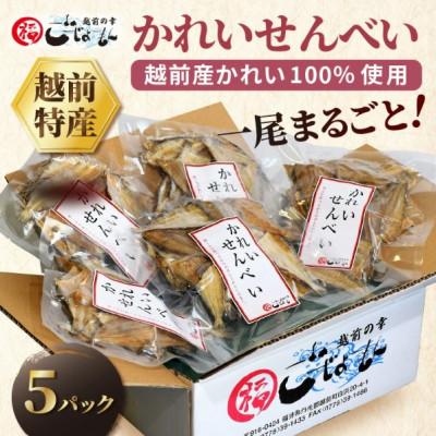 ふるさと納税 越前町 [のし付]かれい煎餅 50g×5パック
