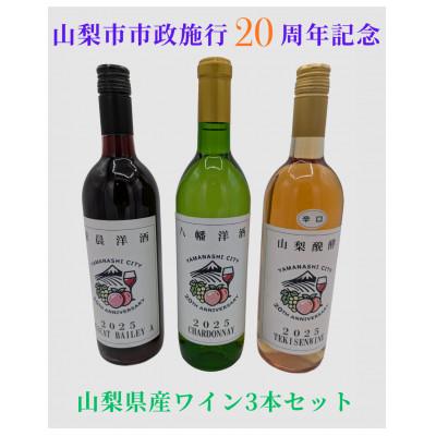 ふるさと納税 山梨市 山梨市市政施行20周年記念ワイン 3本セット(赤