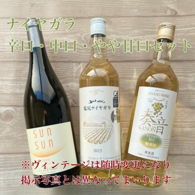 ふるさと納税 塩尻市 ナイヤガラやや甘口・中口・辛口 3本セット
