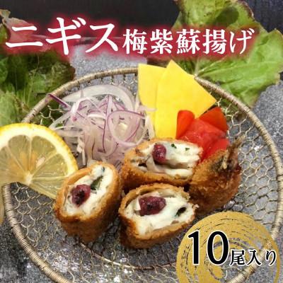 ふるさと納税 浜田市 ニギス梅紫蘇揚げ 2尾入×5パック