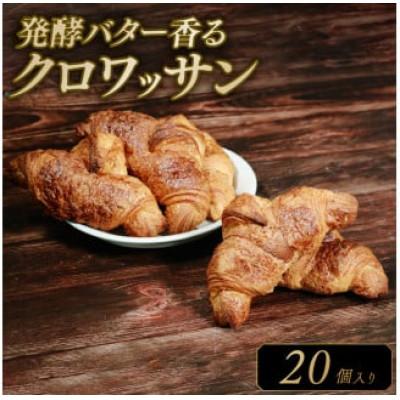 ふるさと納税 松原市 発酵バターのクロワッサン 20個入り